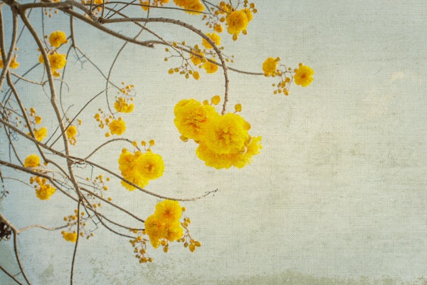 Springtime Floral Design