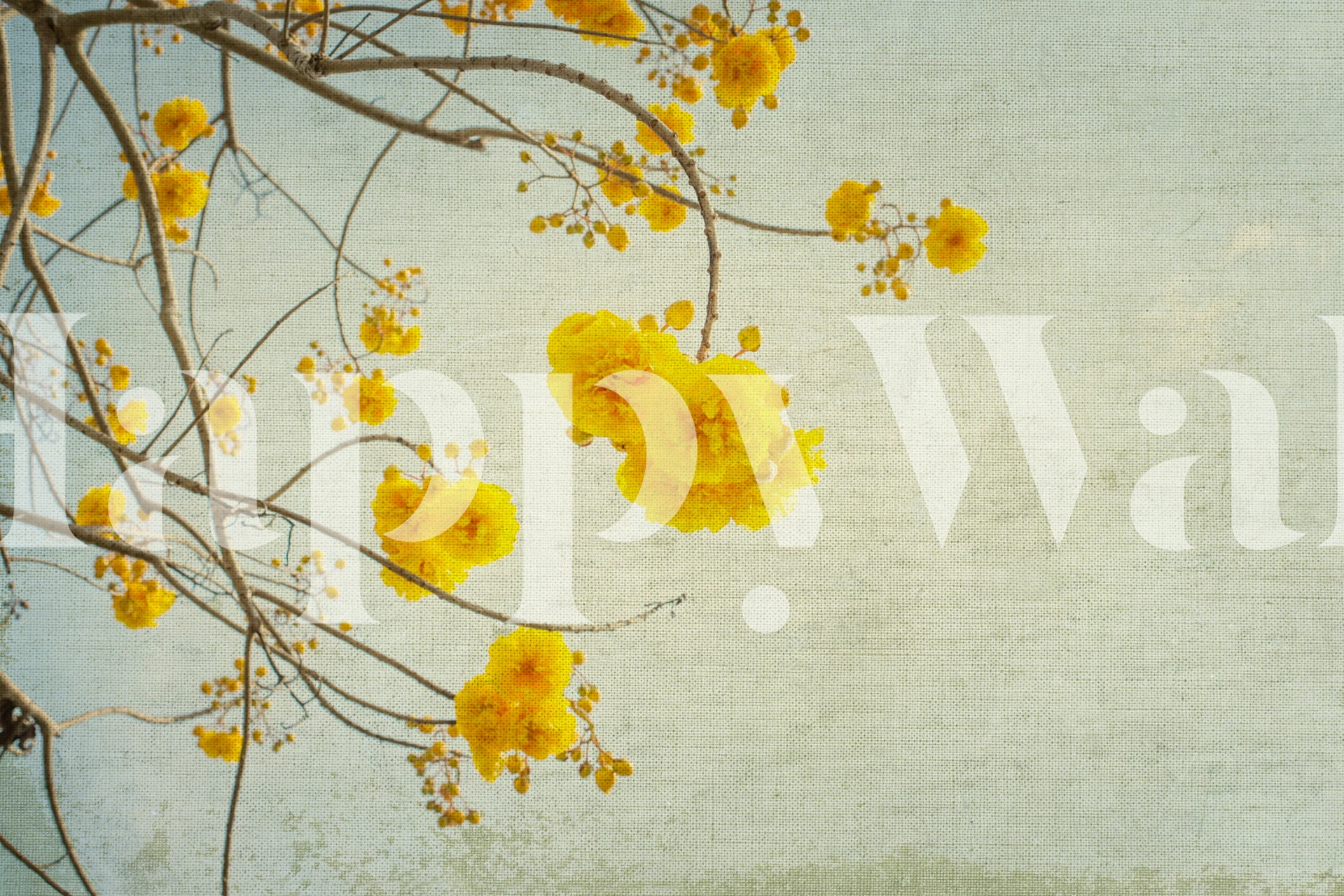 Springtime floral wallpaper dans une pièce lumineuse