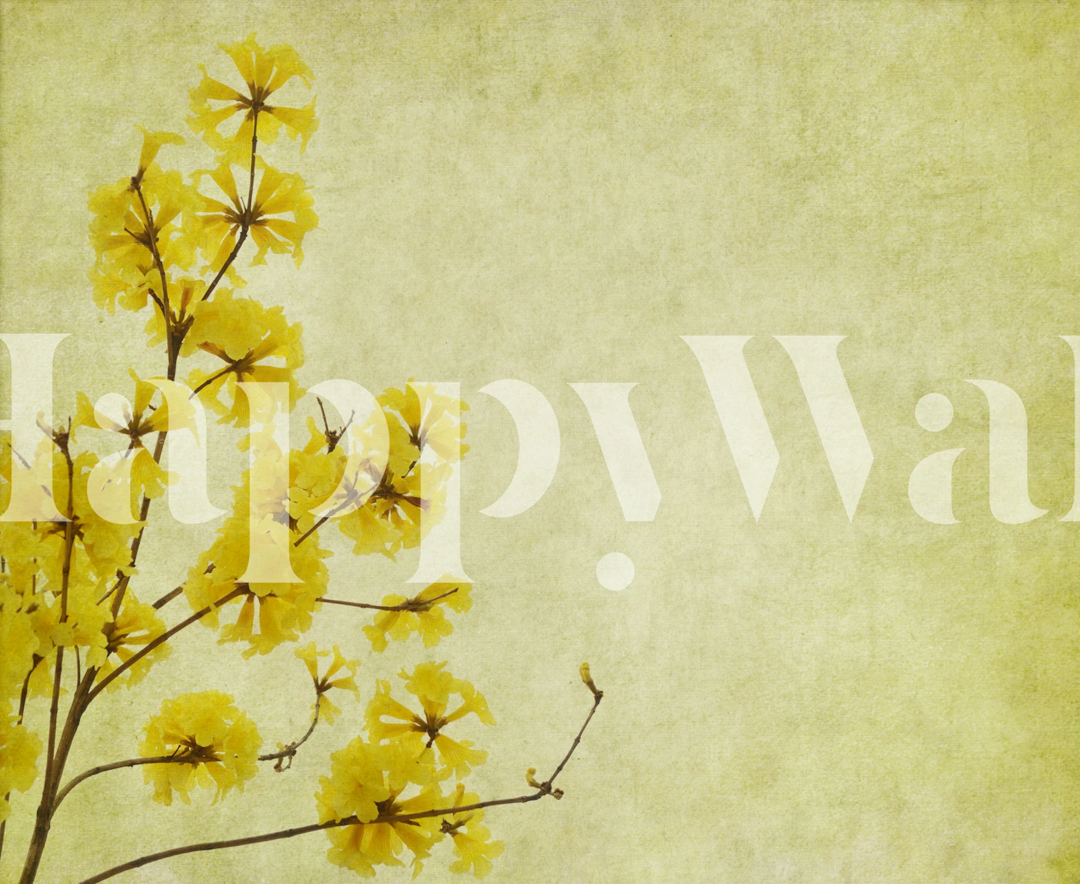 Yellow flower wallpaper in a room