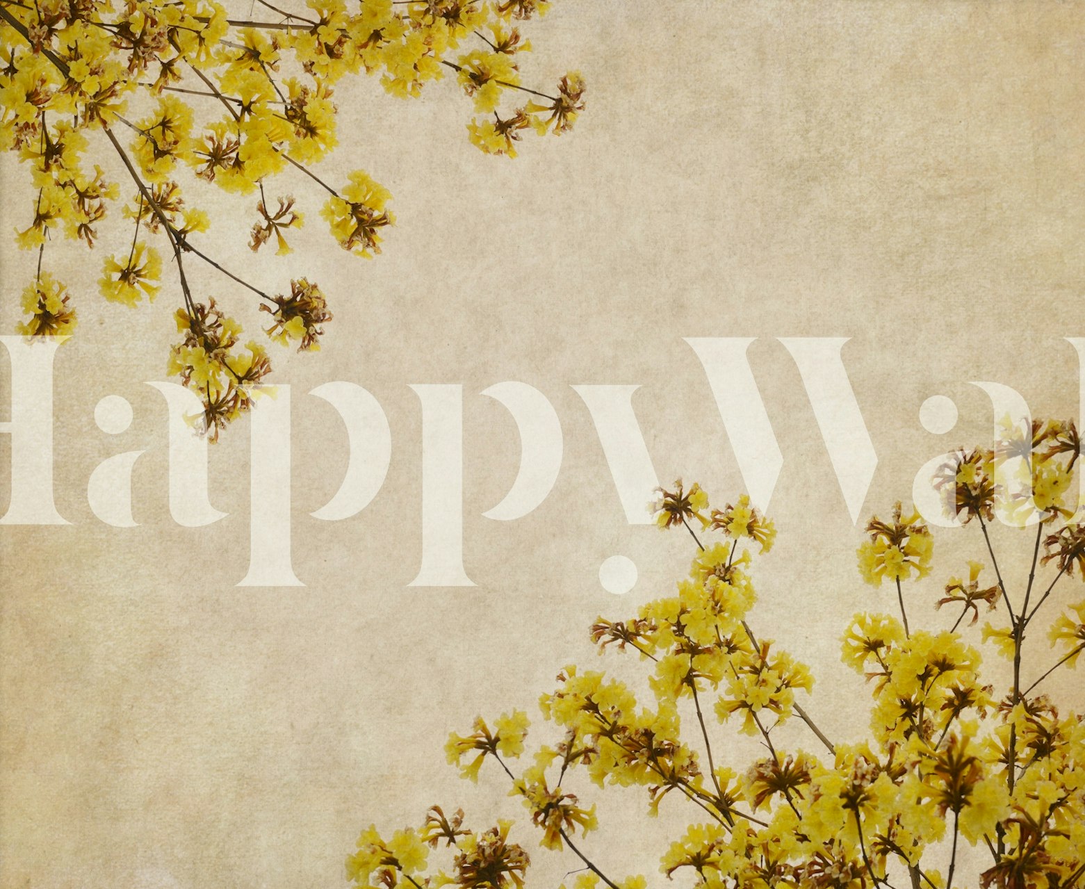 Yellow Blossom Delight tapetti huoneessa