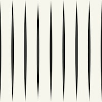 Monochrome Vertical Stripes carta da parati