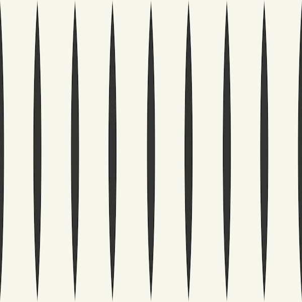 Monochrome Vertical Stripes