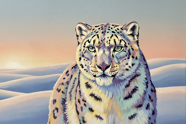 Serene Snow Leopard