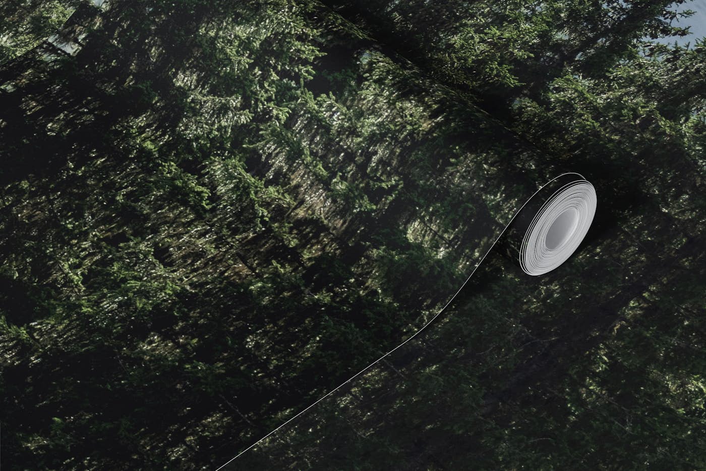 Evergreen Mountain View wallpaper roll