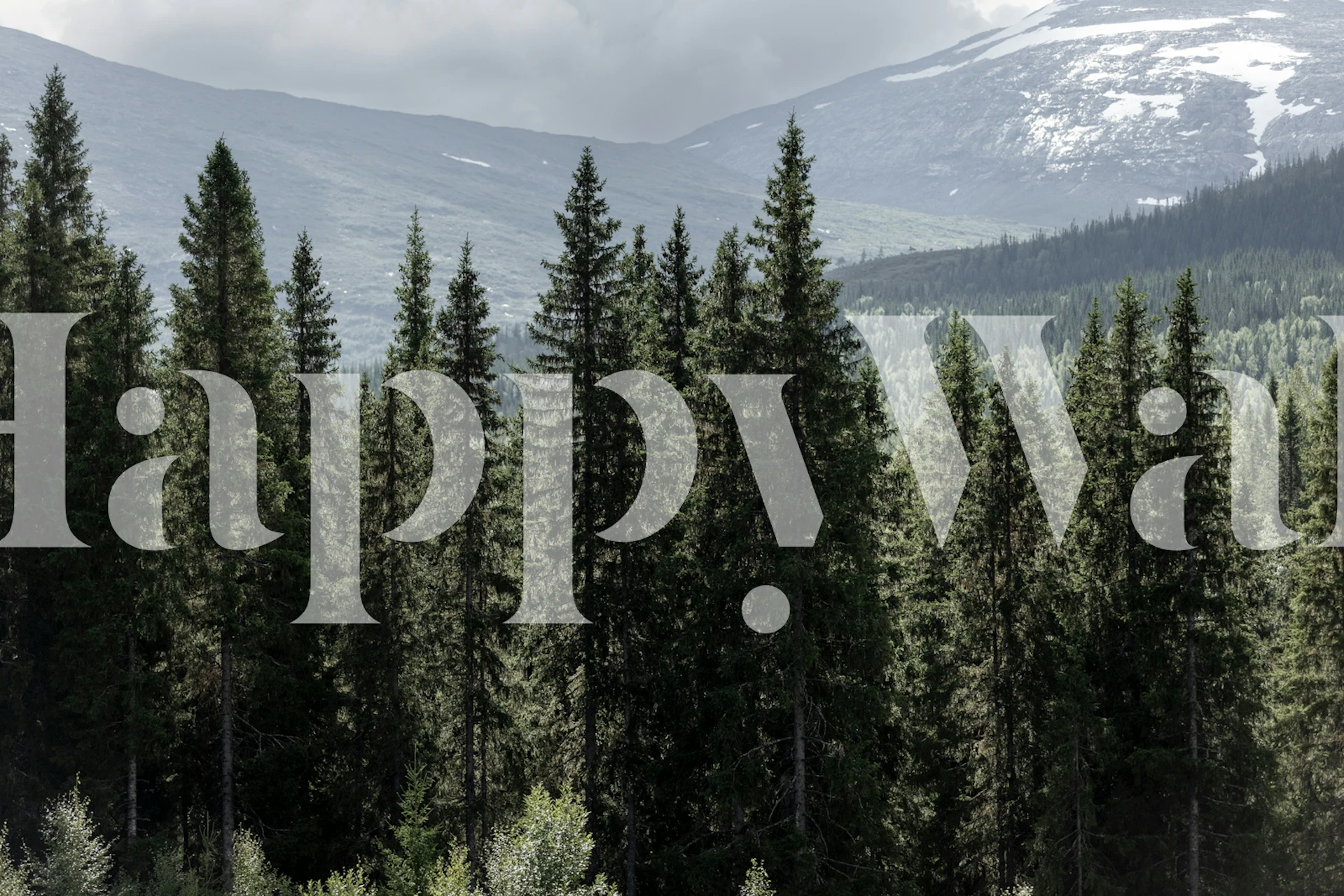 Tall evergreen trees against a mountain backdrop in muted colors wallpaper