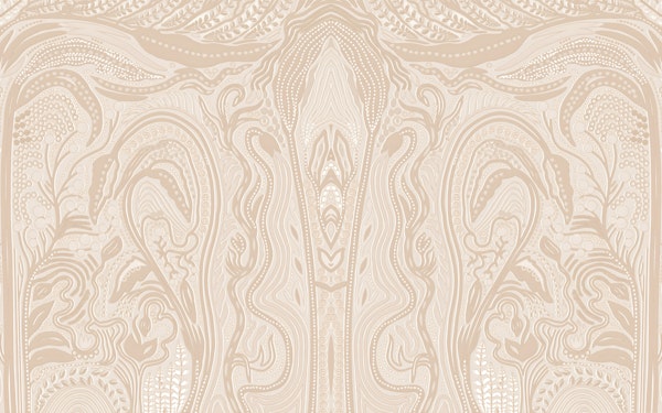 Alocasia Macrorrhizos