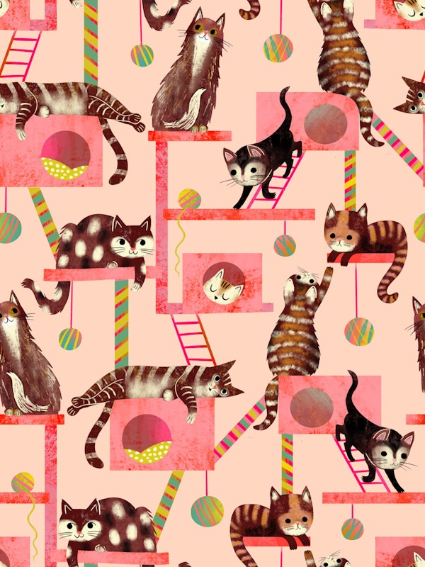 cats on indoor trees