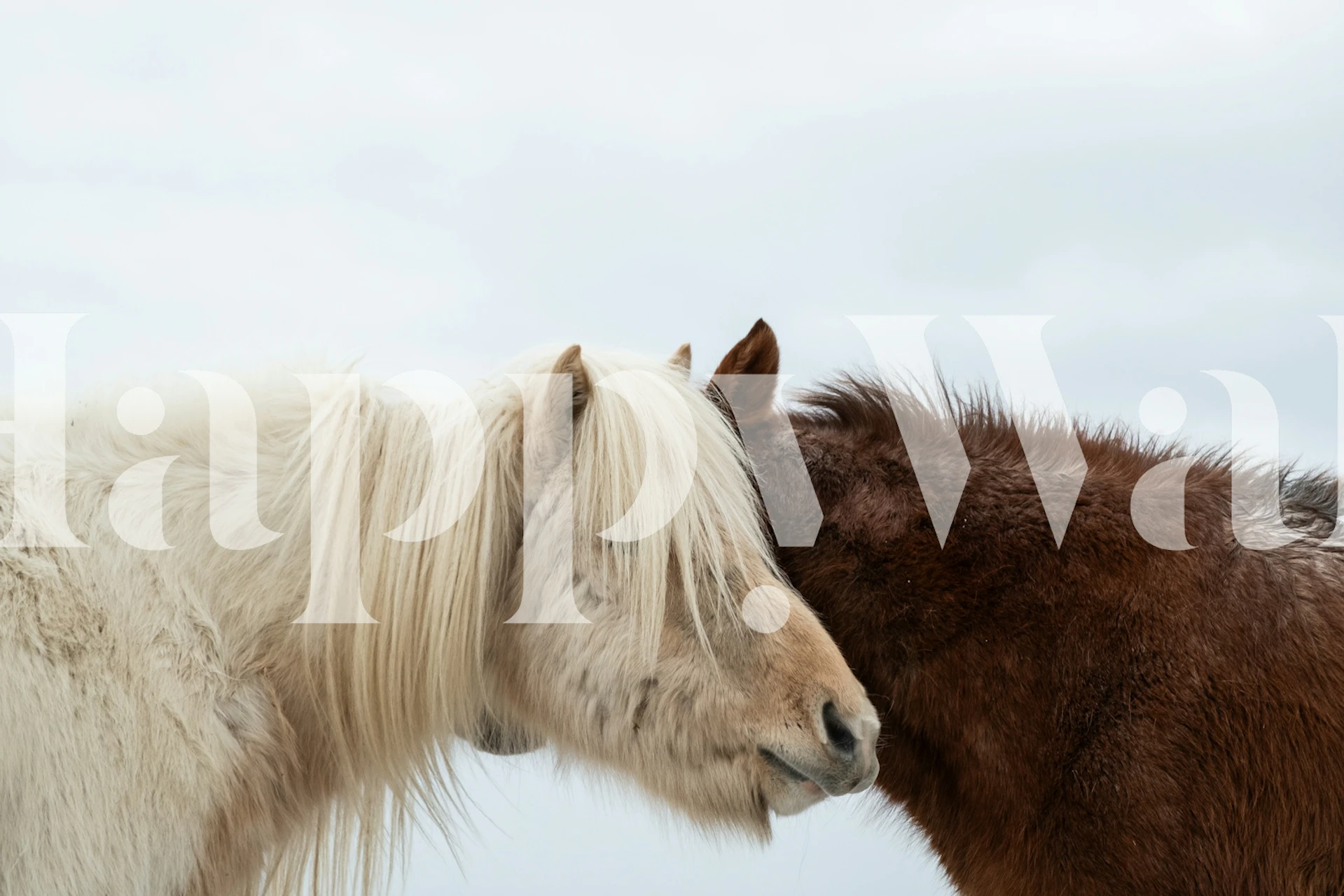 Majestic Horses behang in een gezellige kamer