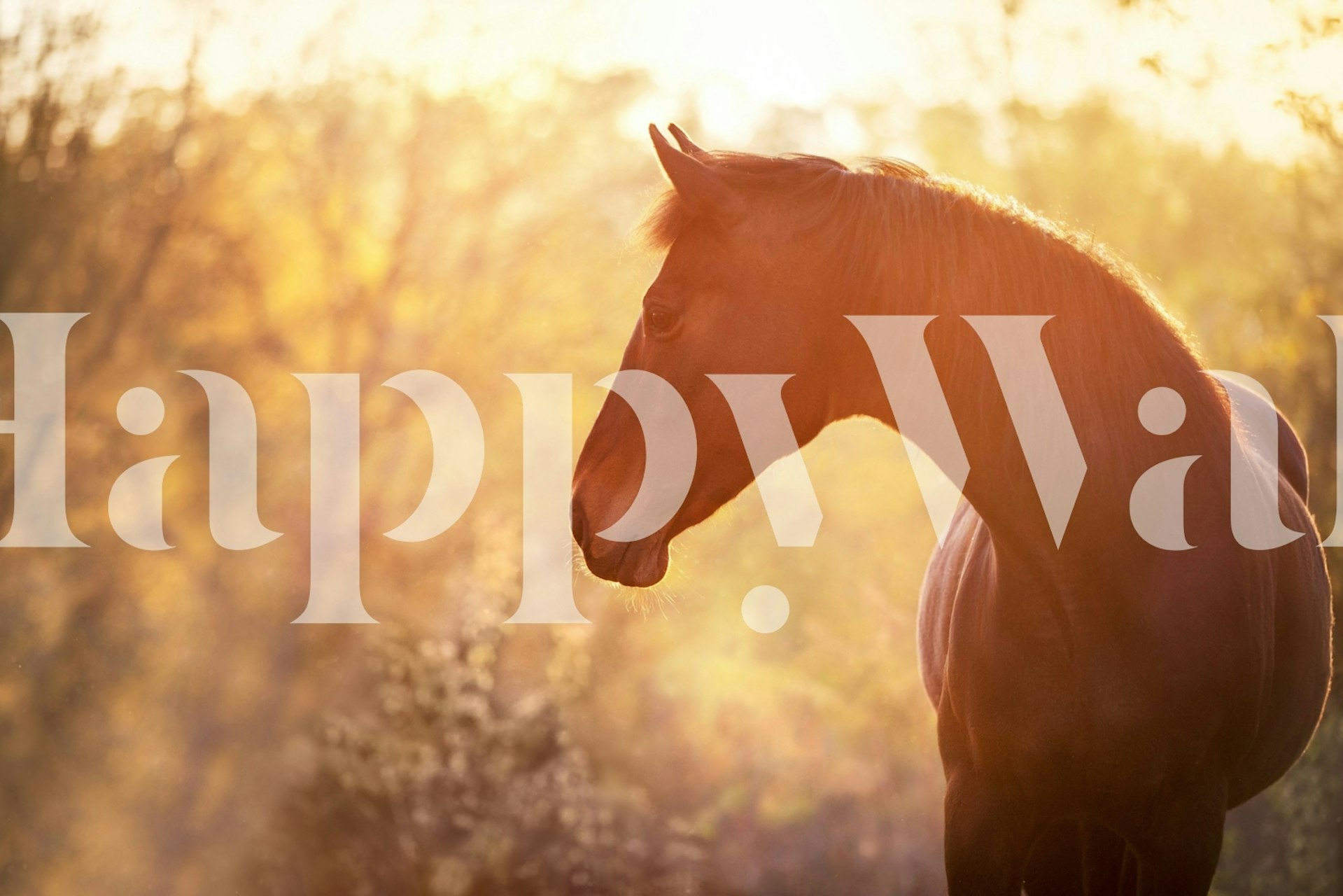 Animal Beauty in Warm Light Tapete