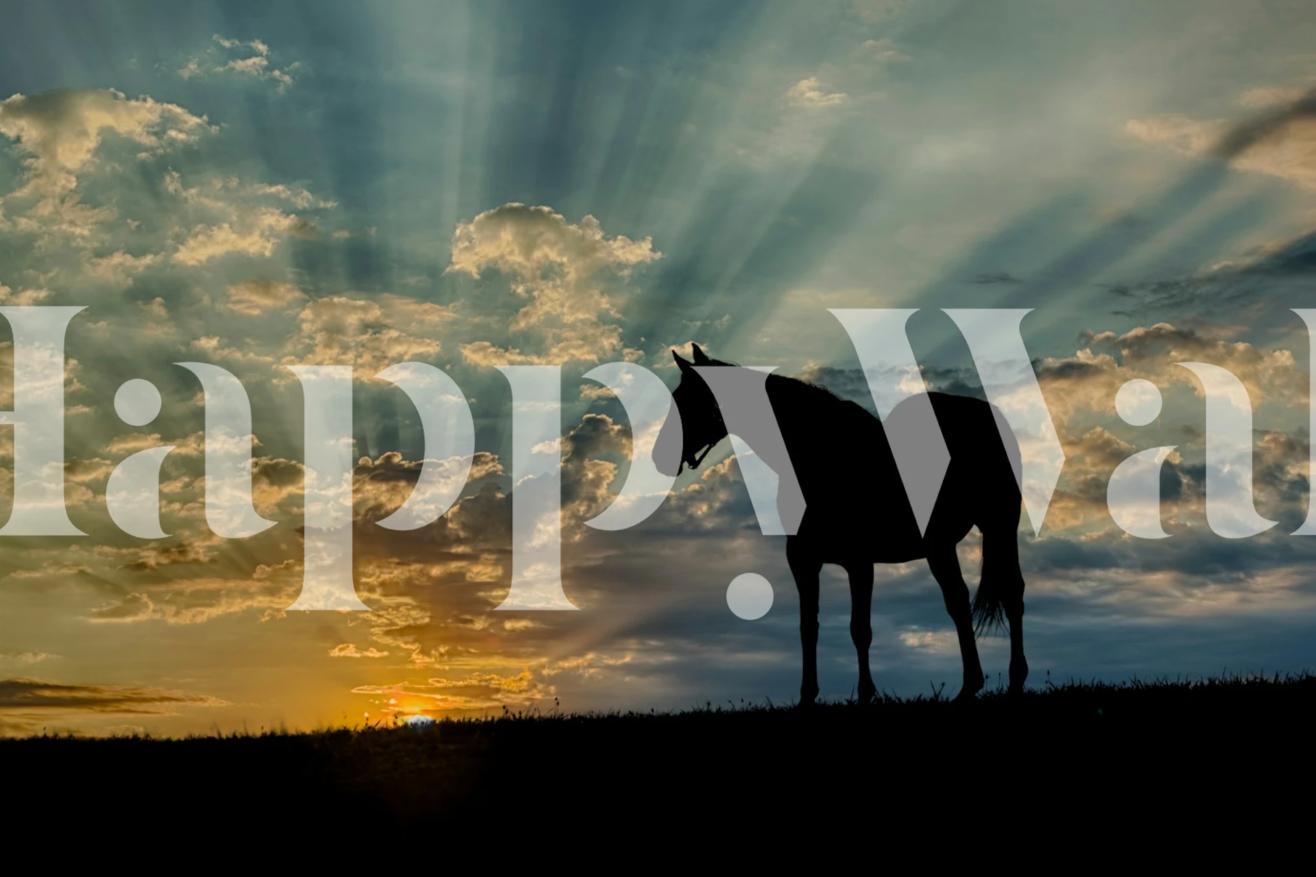Horse silhouette against sunrise with rays and clouds wallpaper