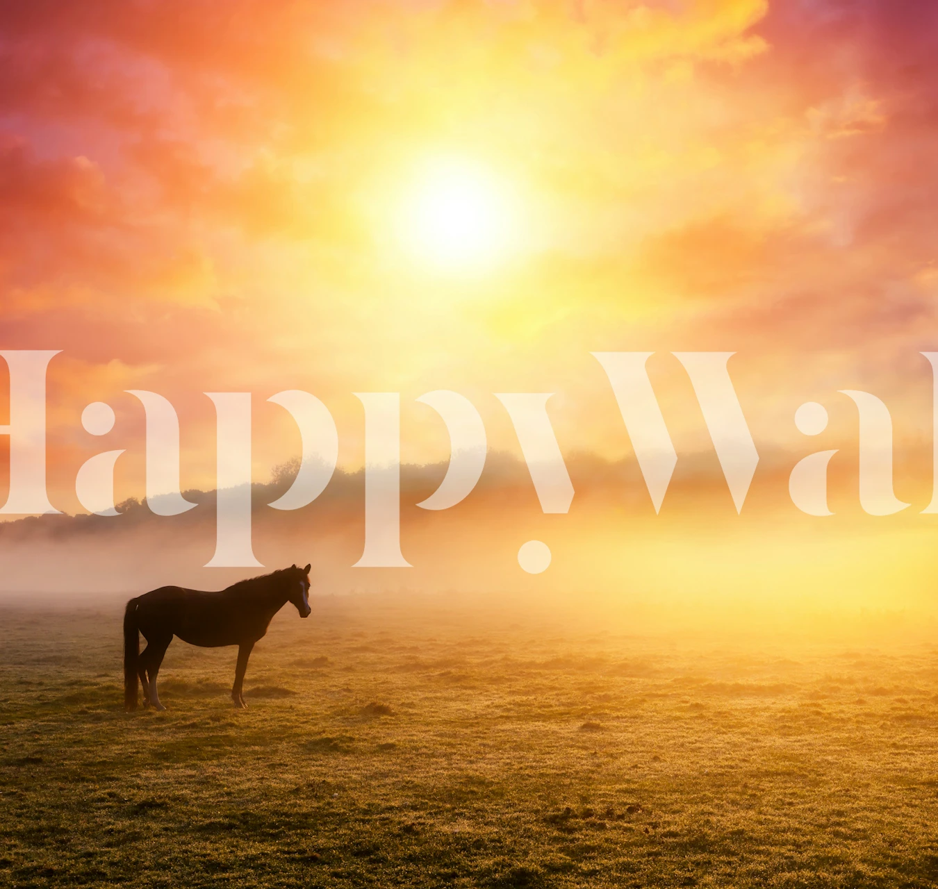 Serene sunset wallpaper with horses
