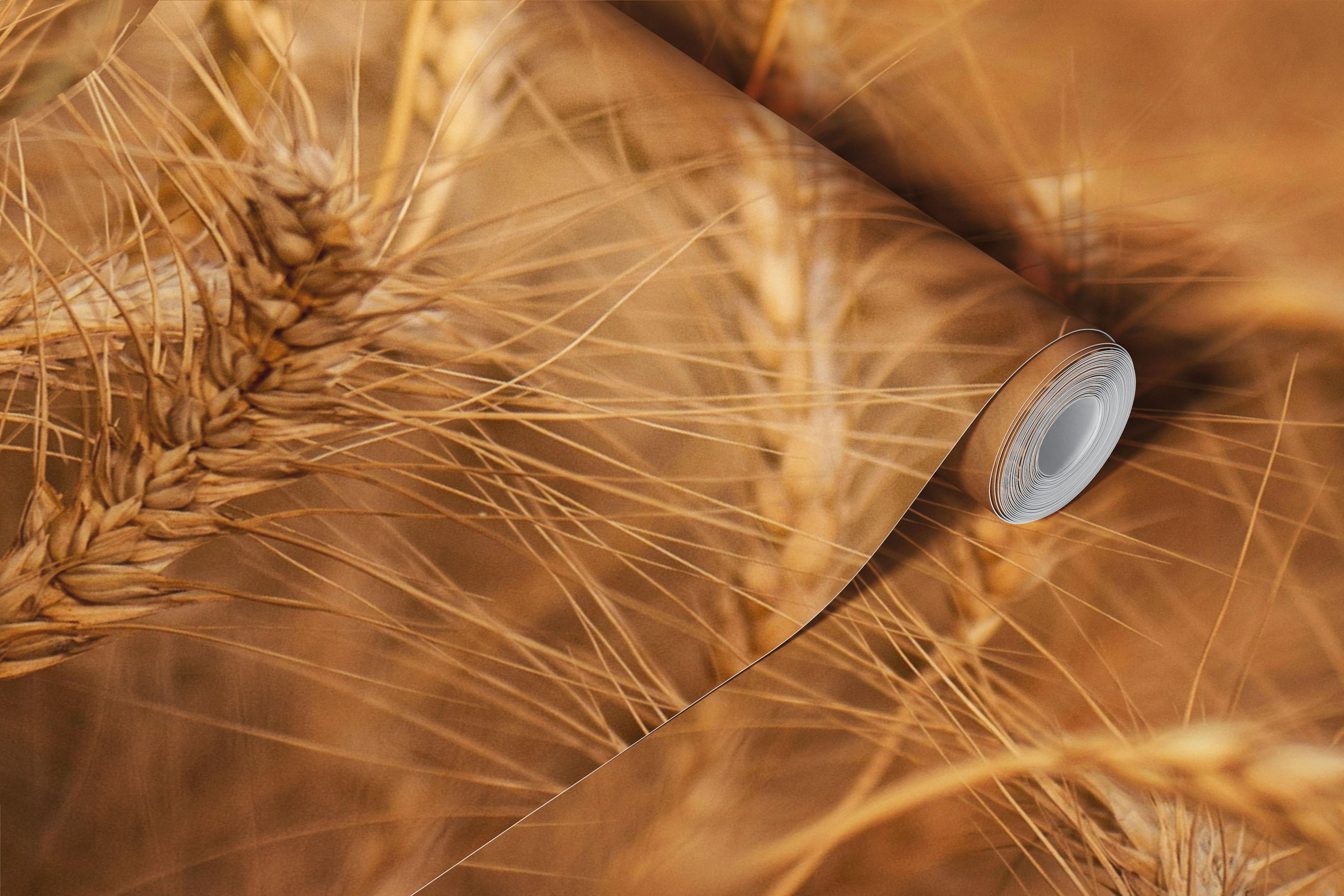 Tapeta zlatých obilných polí v pokoji