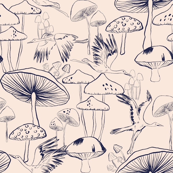 Whimsical Fungi Flight