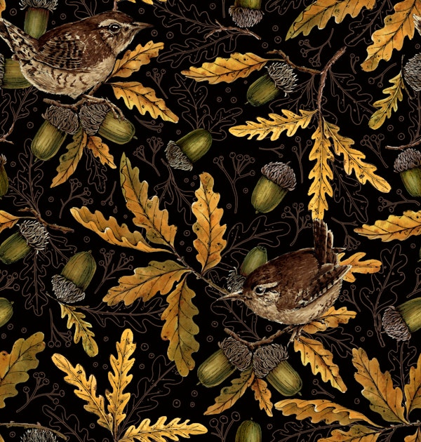 Wrens and acorns on black