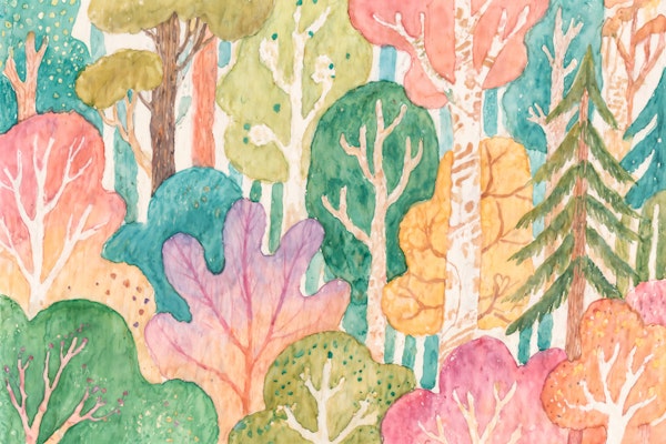 Enchanted Woodland Scene