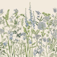 Botany papiers peint