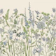 Botany