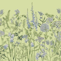 Botany 3 papiers peint