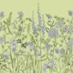Botany 3