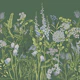 Botany 4