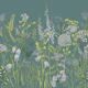 Botany 8