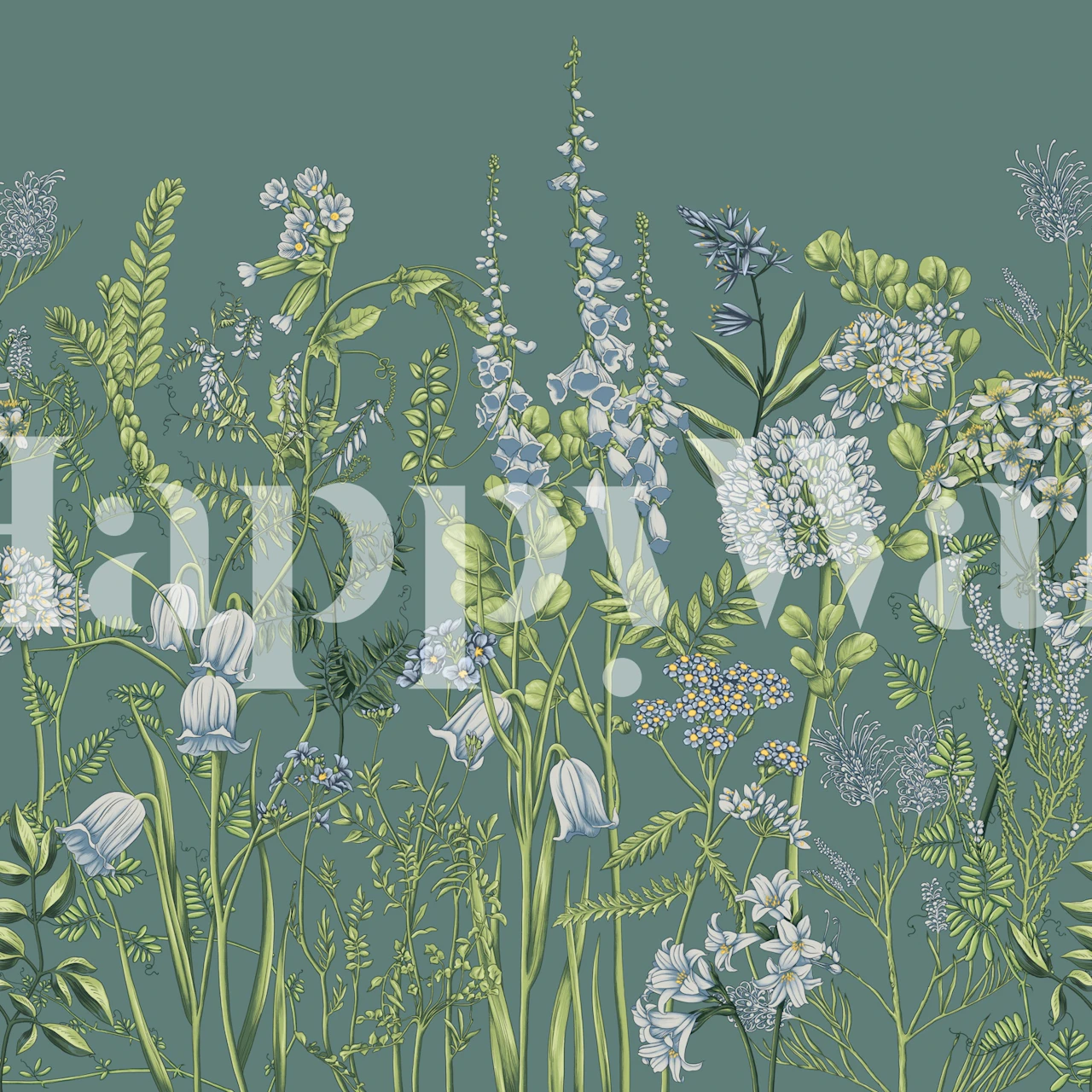 Botanical floral design with various white flowers and green foliage on a teal background wallpaper