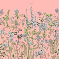 Botany 13 papiers peint