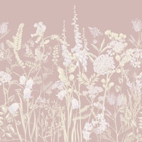 Botany16 wallpaper