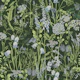 Botany pattern 5