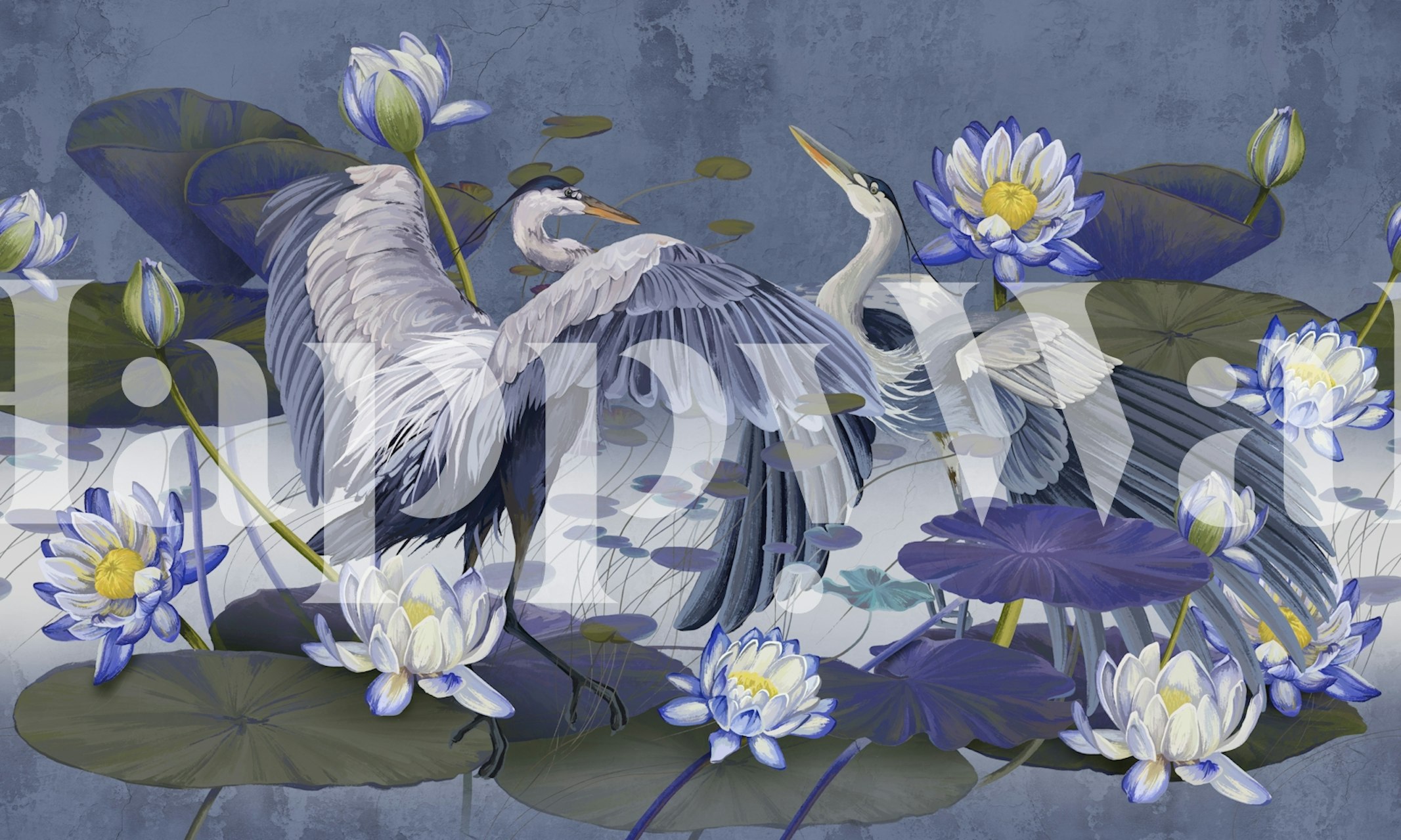 Two herons amidst blooming water lilies with blue accents wallpaper