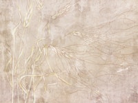 Ears of wheat 7 wallpaper