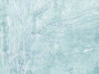 Ears of wheat 8 wallpaper