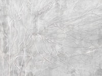 Ears of wheat 10 wallpaper