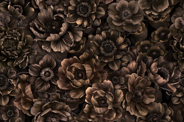 Nocture Twilight Brown Petals