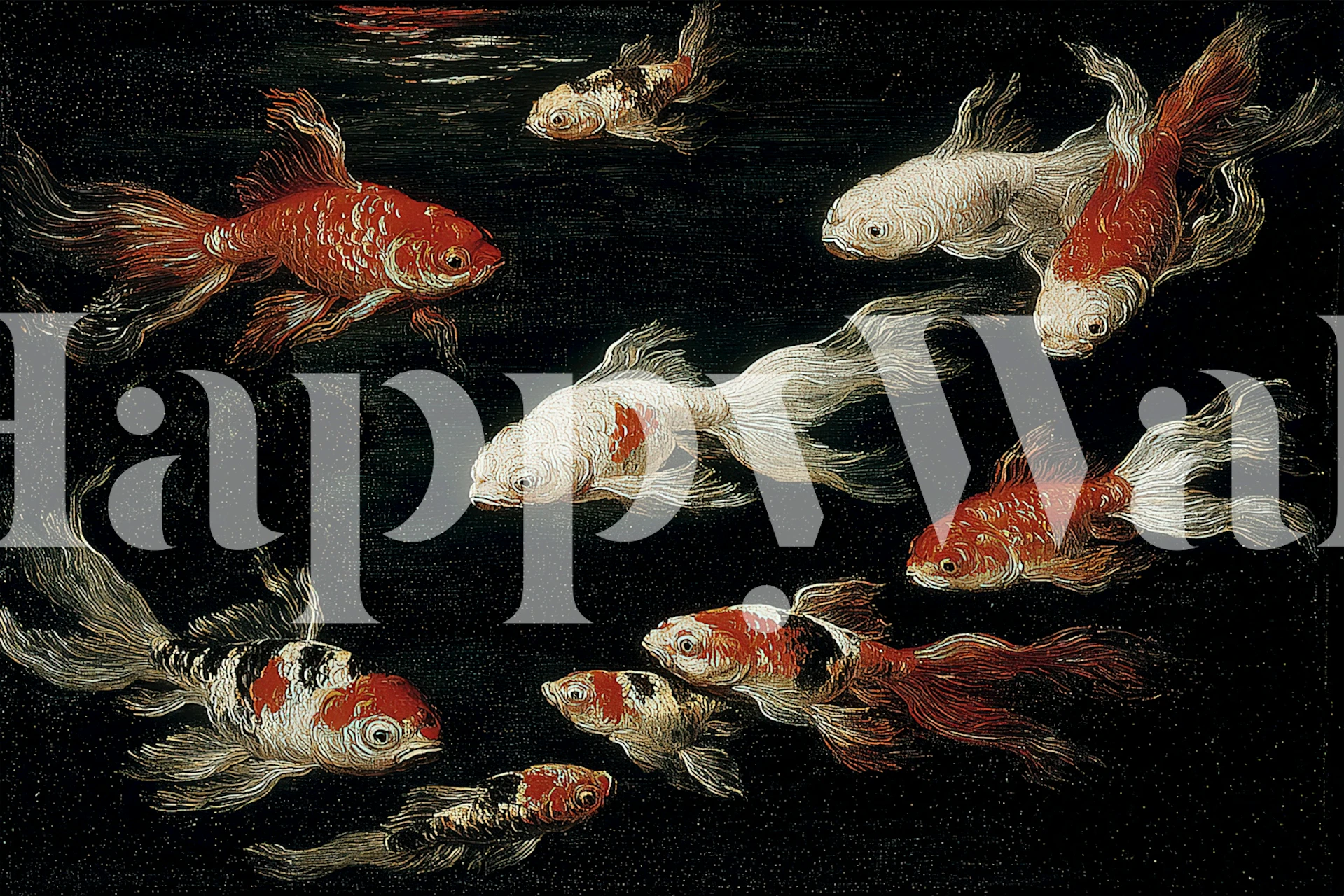 Koi fish in various colors swimming in dark water wallpaper