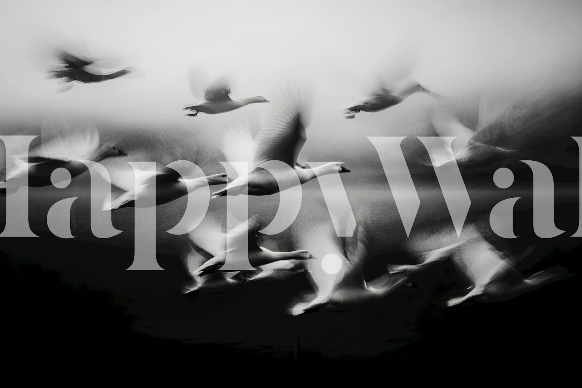 Flight of Freedom wallpaper with birds
