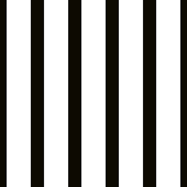 Minimal Striped Design Black and White