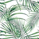 Simple tropical leaves clean and to the point