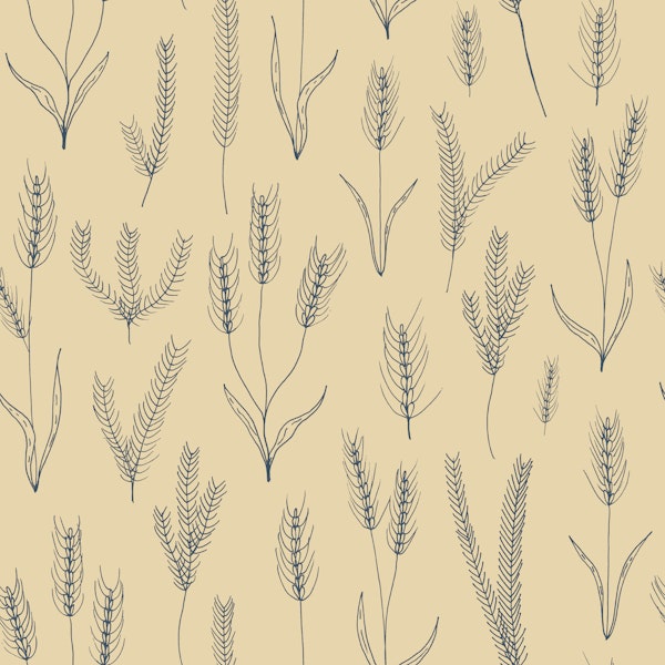 Denim and bamboo wheat field