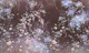 Romantic garden 5