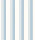 Modern Elegant Light Blue Stripes