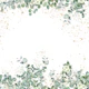 Eucalyptus Leaves 02
