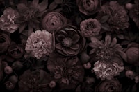 Victorian Grandeur Large Flowers Brown carta da parati