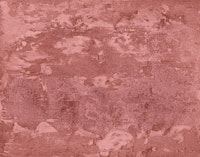 Vintage Red Earth Tones tapete