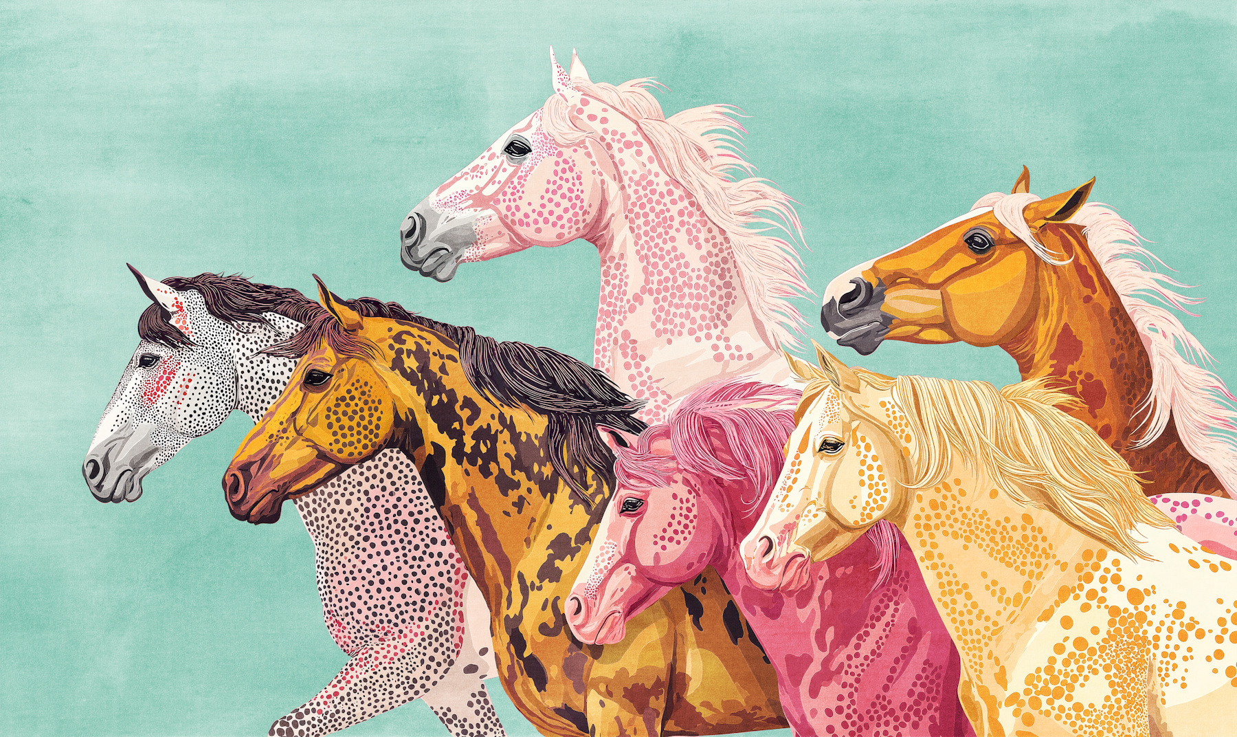 equestrian