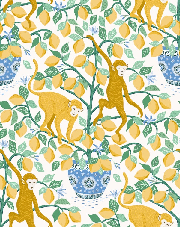 Monkeys in lemon tree