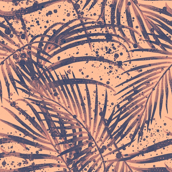 Sunset tropical palm leaves