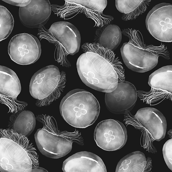 Translucent Moon Jellyfish - charcoal black