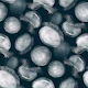 Translucent Moon Jellyfish - teal blue
