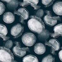 Translucent Moon Jellyfish - teal blue tapety